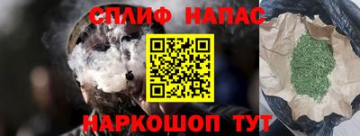 СК Славянск-на-Кубани