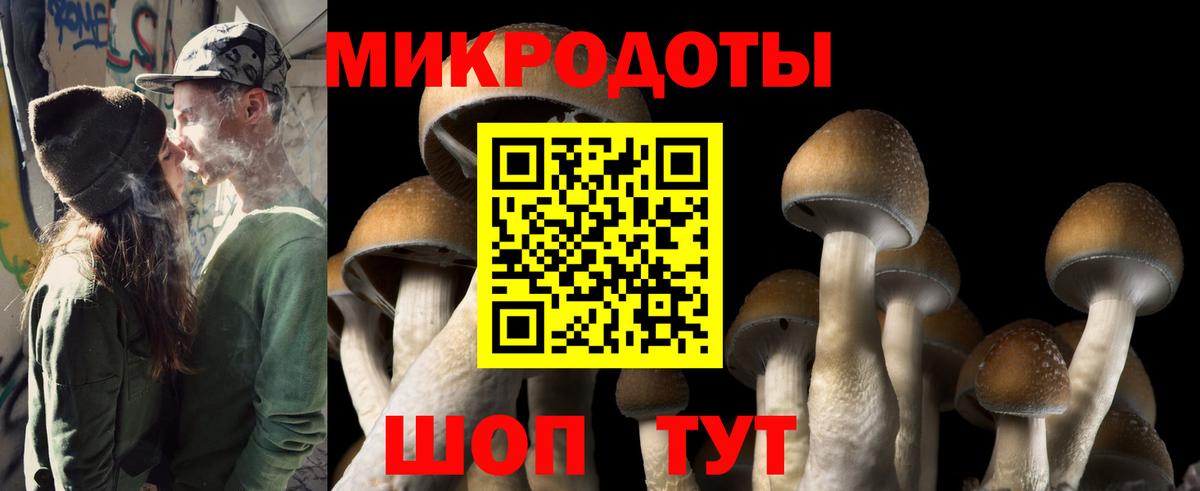 Галлюциногенные грибы GOLDEN TEACHER Омск