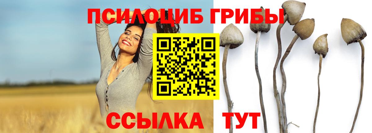 Омск  Псилоцибиновые грибы ЛСД  Галлюциногенные грибы ЛСД  Вход с VPN 